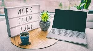 Online Customer Service 1200 USD Per Month