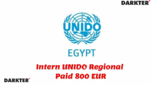 Intern UNIDO Regional Paid 800 EUR